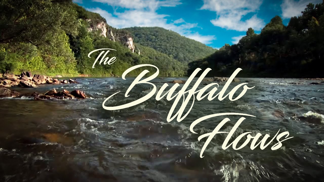 Documentary backdrop image for The Buffalo Flows (2025)