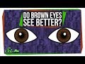 Do Brown Eyes See Better?