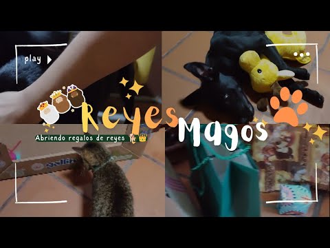 DOGVLOG| REACCIONANDO A NUESTROS REGALOS DE #reyesmagos#fypシ #perros #mascotas 