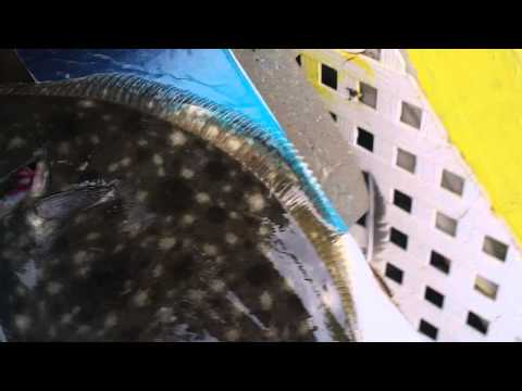 FLOUNDER KEY EAST
