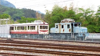 解体撤去が決まった秩父鉄道車両公園の車両たち