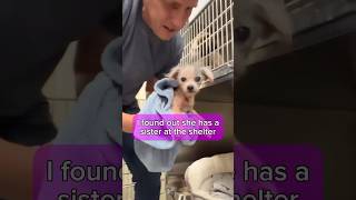 Watch The Moment They Reunite