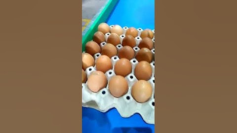 Printing with Z5000 on eggs