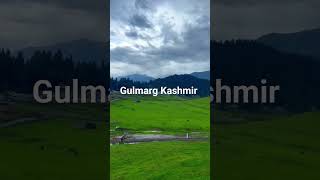 Gulmarg Kashmir sanjeevanitravelsshimla shortsfeed gulmarg kashmir