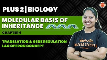Translation & Gene Regulation | Molecular Basis Of Inheritance | Plus Two Biology |Vedantu Malayalam