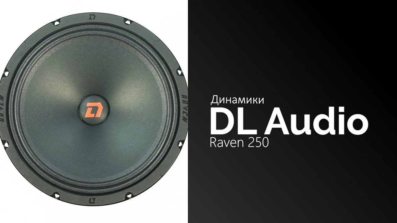 Распаковка динамиков DL Audio Raven 250 