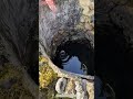 Genius Water Hacks: Well, Wild &amp; One Bottle