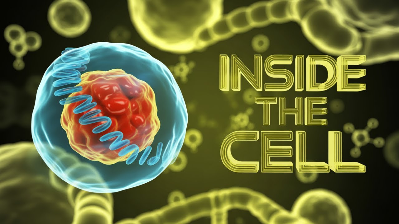WWP-Reacts Biology Learning series Unit 1 Lesson 1 Cell Types and Structures