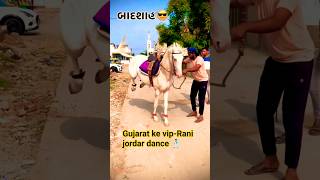 Gujarat ke vip-Rani ka jordar dance 🕺 #horse #horsetrancedance #shortsfeed #trendingshorts #shorts