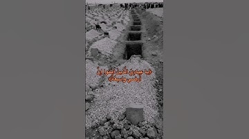 يا عبادي الذين امنوا ان ارضي واسعة 🤍 قرآن كريم