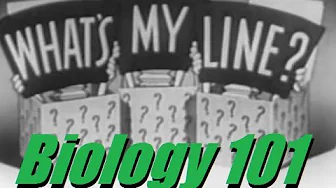 What's My Line? - Biology 101, WML-Style! [CLIPS VIDEO]