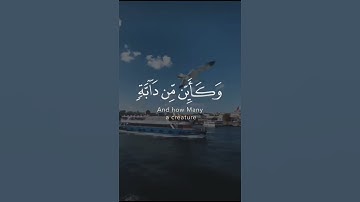 ❤️ما تيسر من سورة العنكبوت بصوت القارئ عبد الرحمان مسعد❤️