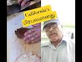 #California பிரபலமான #beefribs #onetouch #cooking #food #streetfood #jfc835 #தமிழ்ஷாட்ஸ்#plateup