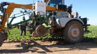 La production de salade en Espagne et l’agriculture durable chez Bonduelle