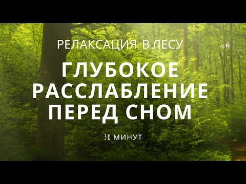 Глубокое расслабление перед сном. Релаксация в лесу