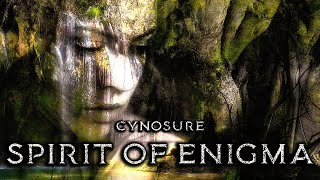 Cynosure - Spirit Of Enigma (New Age Music 2021)💖 Resimi