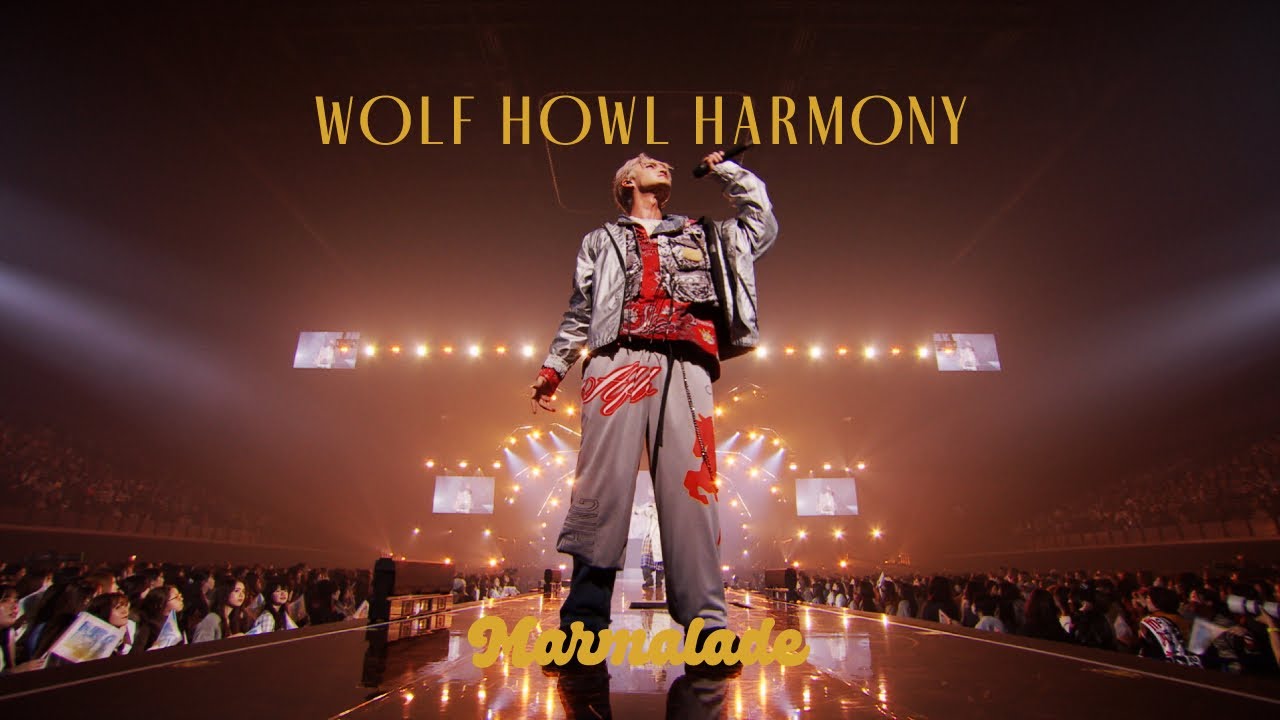 WOLF HOWL HARMONY / 
