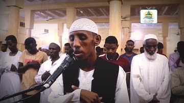 آيات مختارة من سورة القصص| لفضيلة الشيخ حسام عبد الباقي