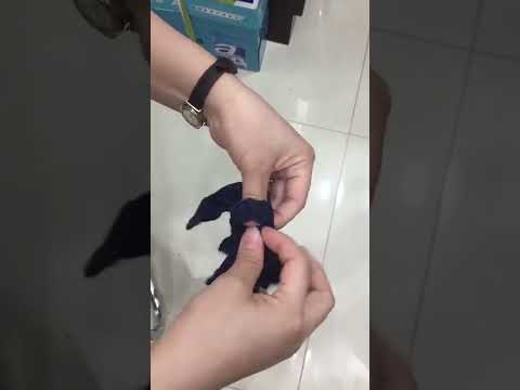 Video Hướng dẫn cách thắt nơ cho áo Naka - youtube