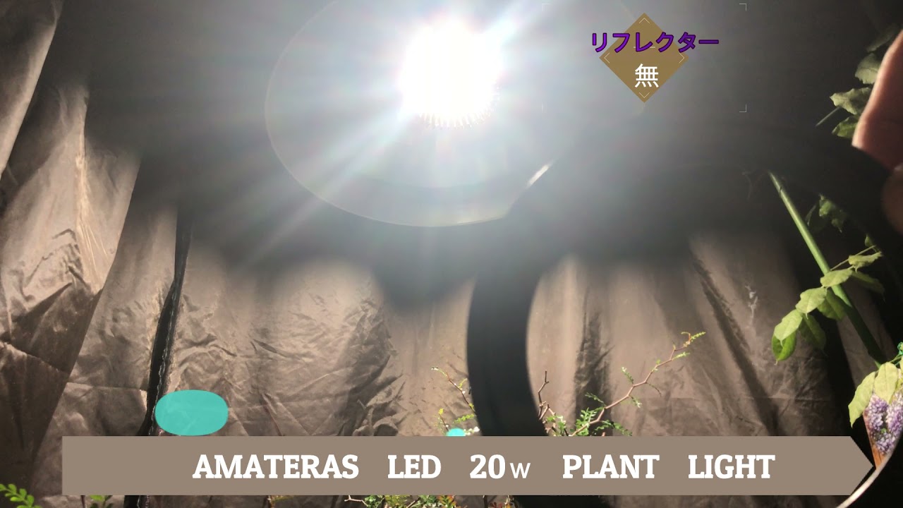 Plants Growth Diary ＃05 AMATERAS LED検証PART1
