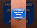 Interesting New Knife From Amazon! #knifereview #amazonfinds