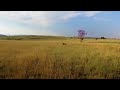 The Cradle of Humankind | National Geographic