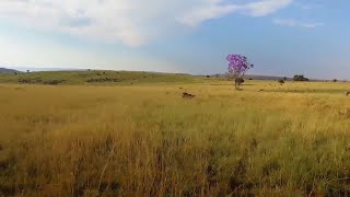 The Cradle of Humankind | National Geographic