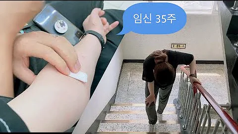 임산부 Vlog 계단오르기