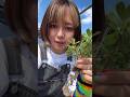 道端の草を嬉々として食べる女、現る。　#山形弁 #勝手にオネーサン #方言 #オネーサンの山形弁講座 #オネーサンの豆知識 #shorts #short