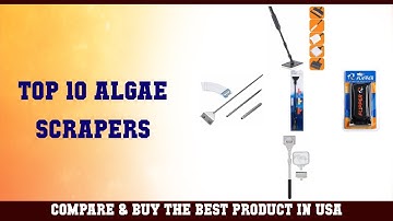 Top 10 Algae Scrapers to buy in USA | Price & Review