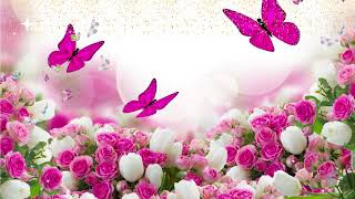 Футаж фоновый, нежные цветы, бабочки, для текста, видеомонтажа/delicate flowers, butterflies,