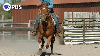 Why The Quarter Horse is Built For Speed