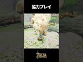 【ブレワイ】ボコブリンと遊ぶ #shorts