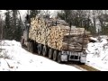 Big hill Peterbilt Logging 359 Classic