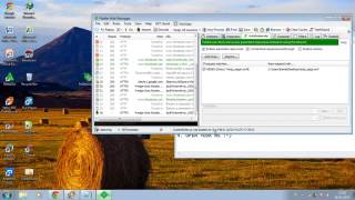 NINJA SAGA   TUTORIAL SETTING FIDDLER DAN MENGGUNAKAN CHEAT By : http://tisp-bl0gs.blogspot.com/