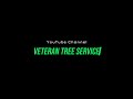 Chainsaw Massacre | Veteran Tree Service