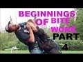 puppy bite work part 4 pit bull pitbull bulldog shepherd attack protection puppy bite work part 4 pit bull pitbull bulldog shepherd attack protection