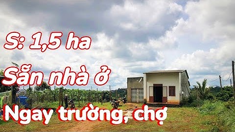 Ngay chợ, trường, đường bê tông, khu dân cư, bán 1,5 ha trồng kín cà phê, sầu riêng, cây ăn trái