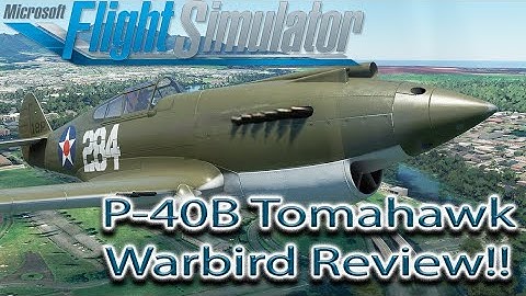 Microsoft Flight Simulator | Big Radial