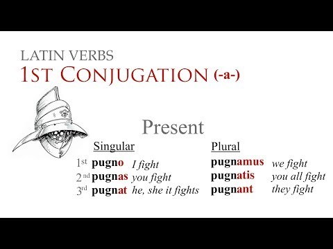 1st Conjugation (Verbs)