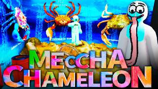 Finding My Hidden Friends in Meccha Chameleon!