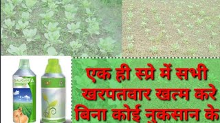 गोभी के लिए खरपतवारनाशी दवा। cauliflower ke liye herbicide । cauliflower ki kheti।#cauliflower screenshot 5