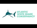 Atlantic white shark conservancys white shark logbook app tutorial