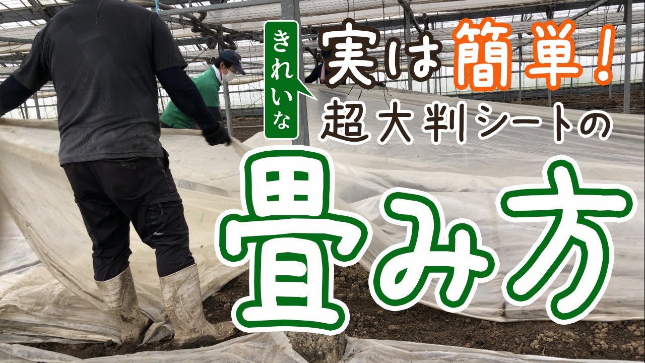 超大判ビニールシートはこう畳むと勝手がいい！