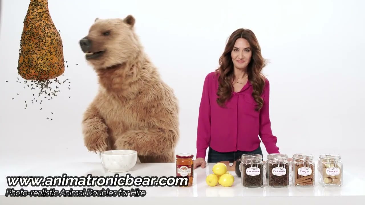 Robitussin Commercial Bear Voice Actor 60 Photos - Moonagedaydream.film