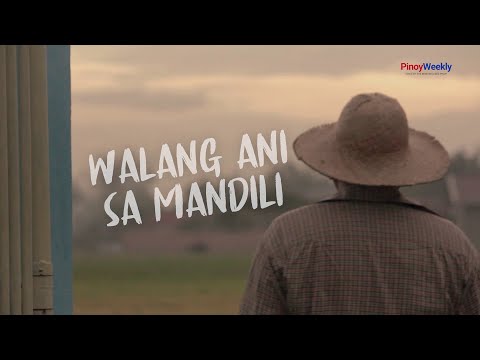 Walang ani sa Mandili
