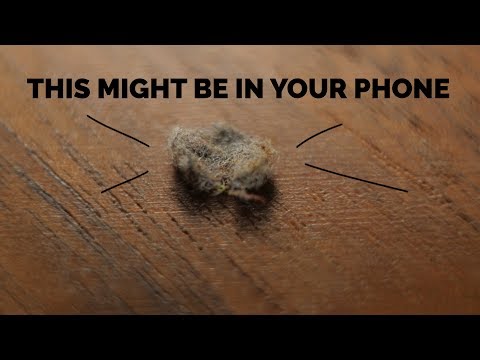 Phone's Not Charging? Get a toothpick!