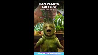 Can plants feel pain? 🌱