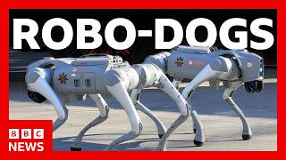 Robo-dogs, protests and the World Cup: Inside Mexico 2026 | BBC News