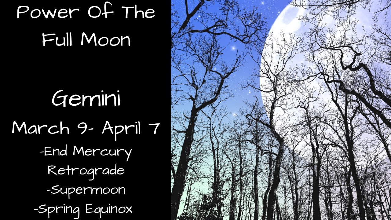 Gemini, The Impossible Becomes Possible | Psychic Empath Tarot Reading